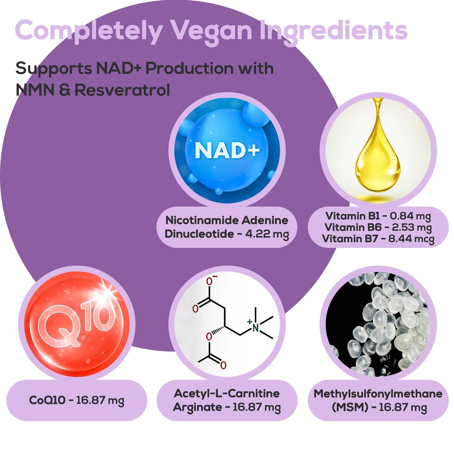 HARMONIFY NAD+ Patches - Cellular Health & Vitality - 30 Pcs