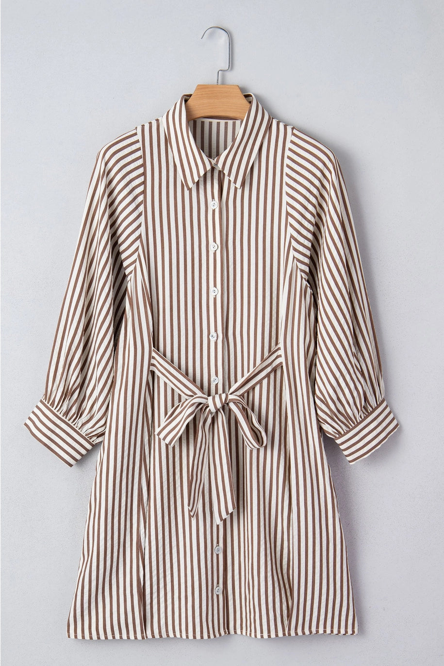 Knot Waist Striped Dress
